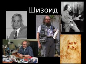 как по-научному называют отшельников: шизоидное расстройство личности